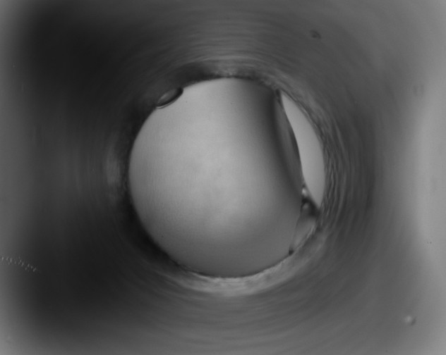 X0000087590031200705181227