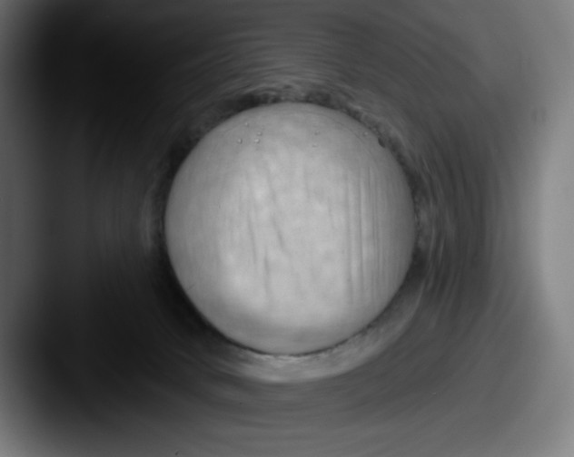 X0000087590034200705181227