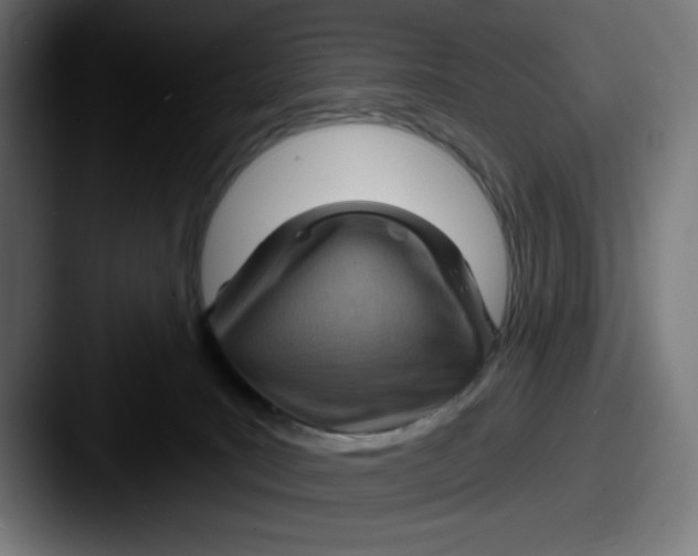 X0000087590035200705181227