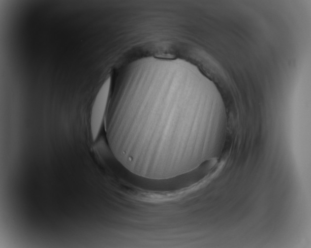 X0000087590037200705181227