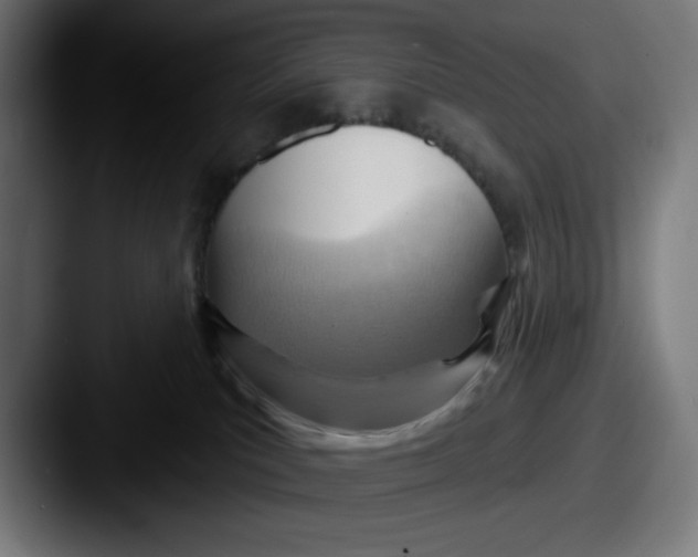 X0000087590039200705181227