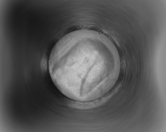 X0000087590042200705181227