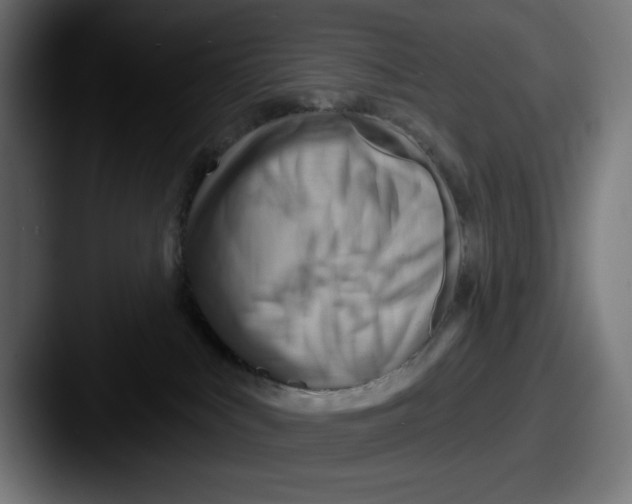 X0000087590043200705181227