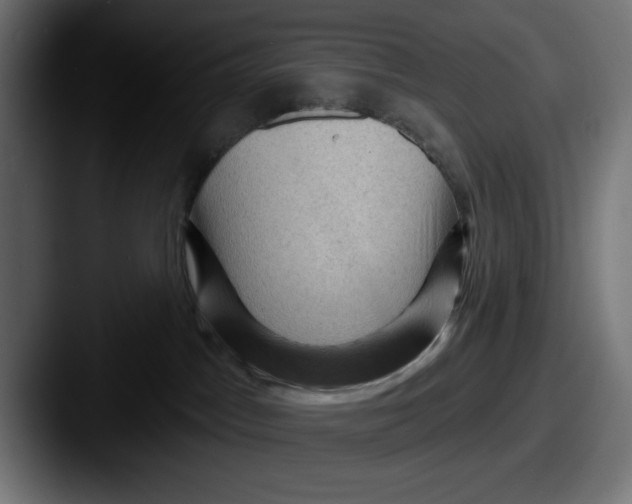 X0000087590045200705181227