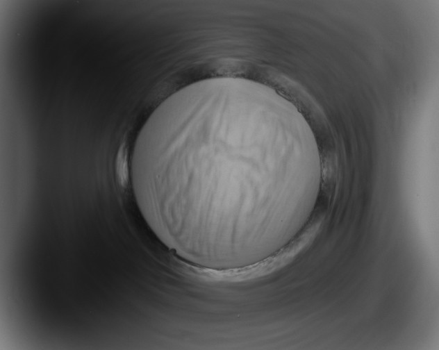 X0000087590046200705181227