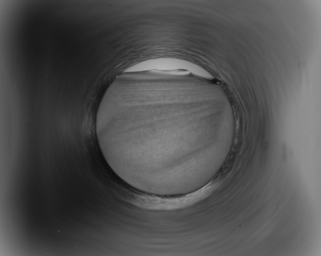 X0000087590048200705181227