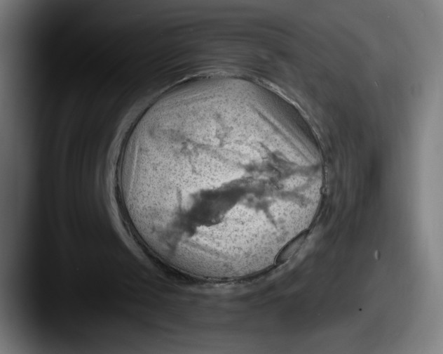 X0000087590049200705181226