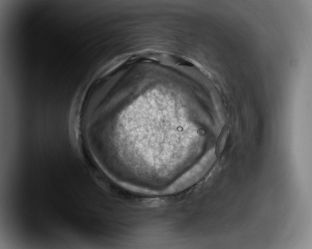 X0000087590050200705181226