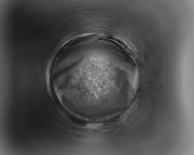 X0000087590051200705181226