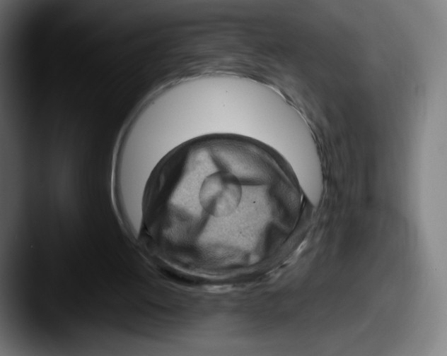 X0000087590052200705181226