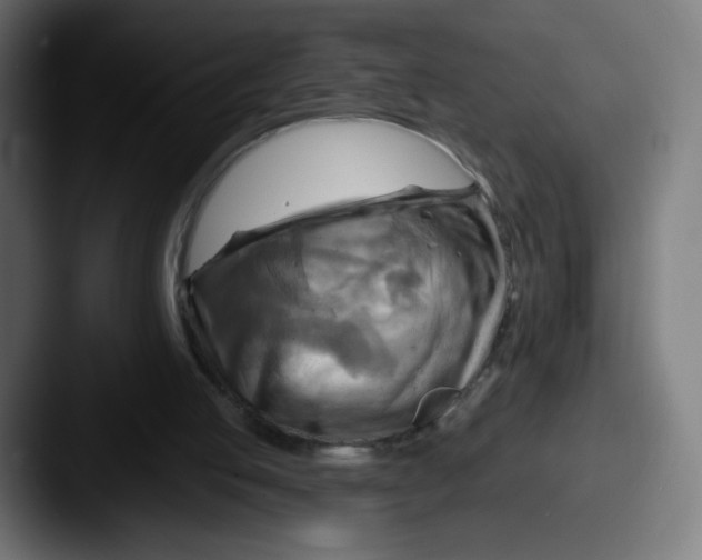 X0000087590053200705181226