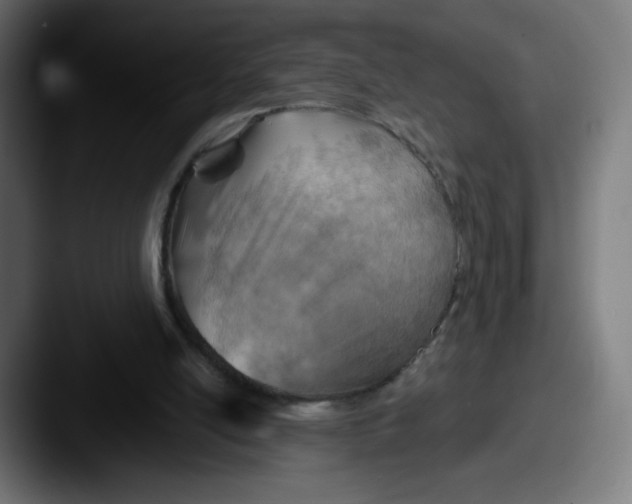 X0000087590054200705181226