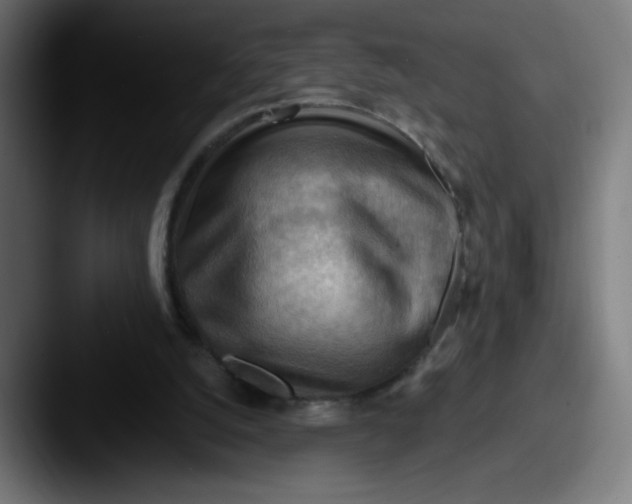 X0000087590056200705181226