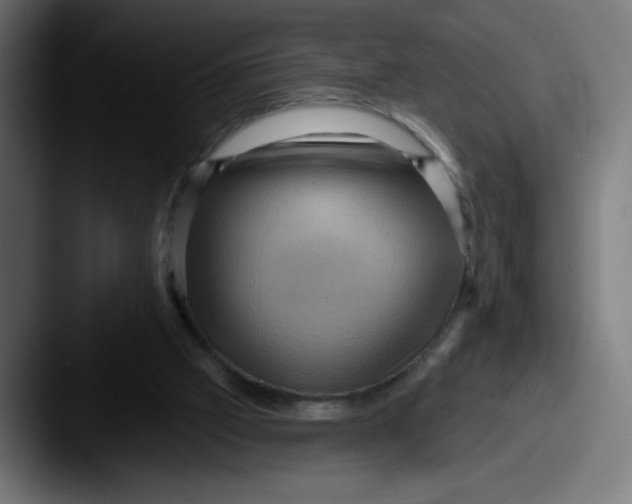 X0000087590057200705181226