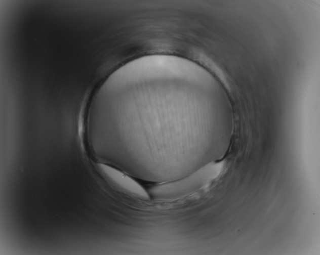 X0000087590059200705181226