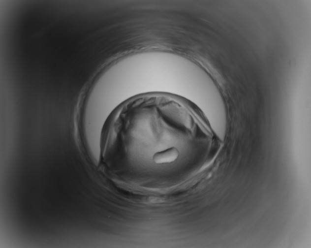 X0000087590060200705181226