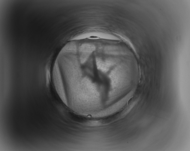 X0000087590061200705181227