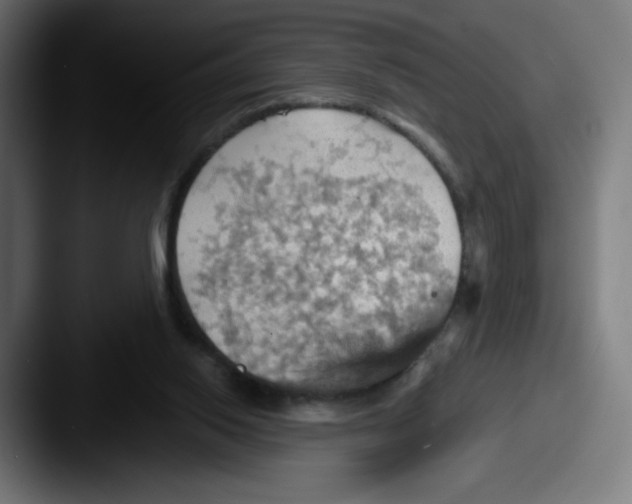 X0000087590062200705181227