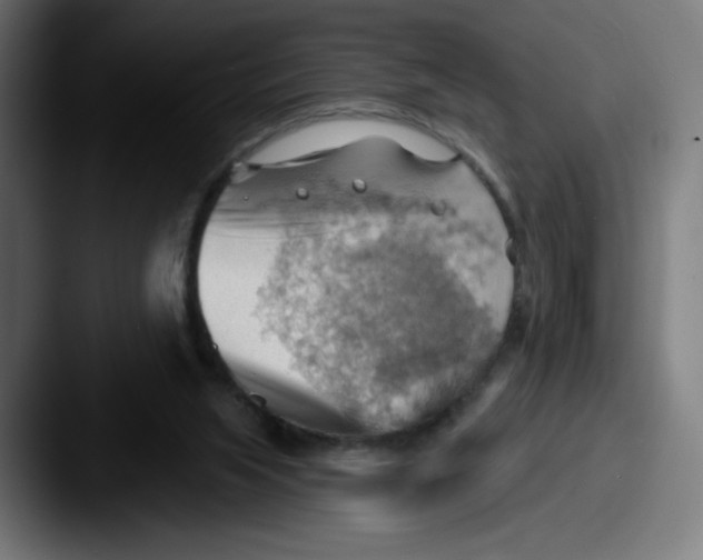 X0000087590063200705181227