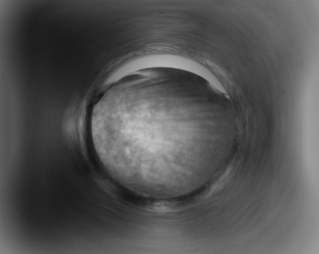 X0000087590064200705181227