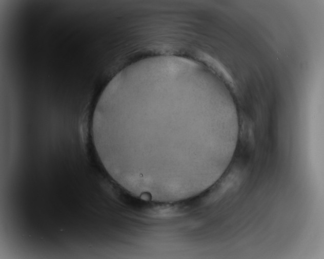 X0000087590065200705181227