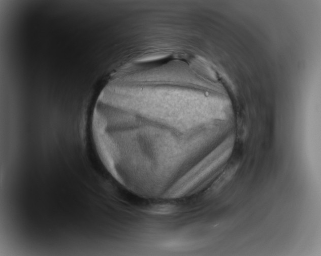 X0000087590066200705181227