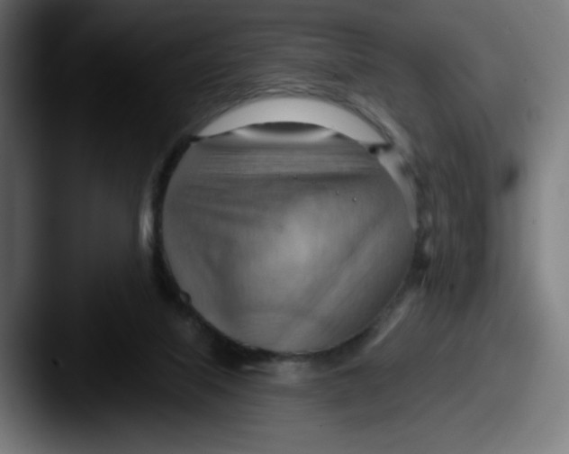 X0000087590067200705181227