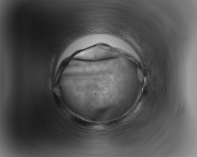 X0000087590068200705181227