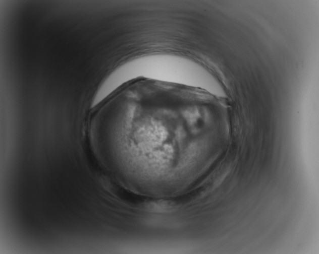 X0000087590069200705181227