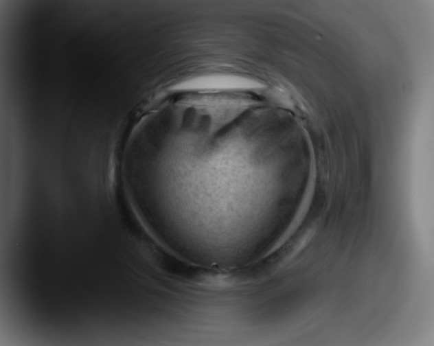 X0000087590071200705181227