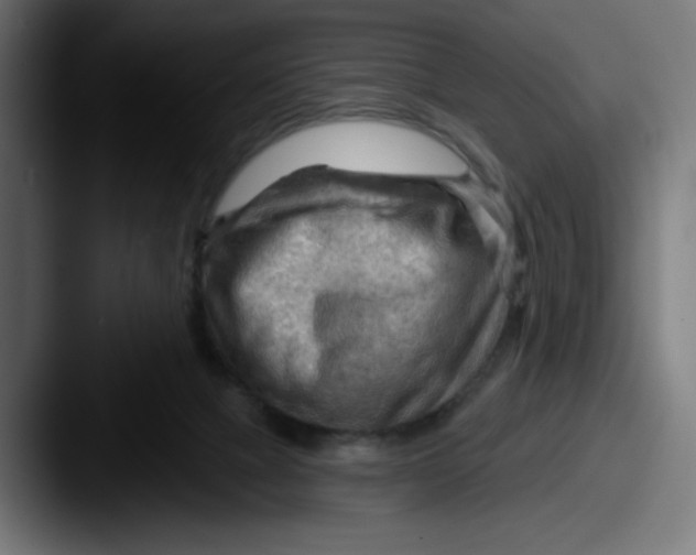 X0000087590073200705181227