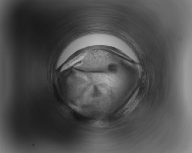 X0000087590074200705181227