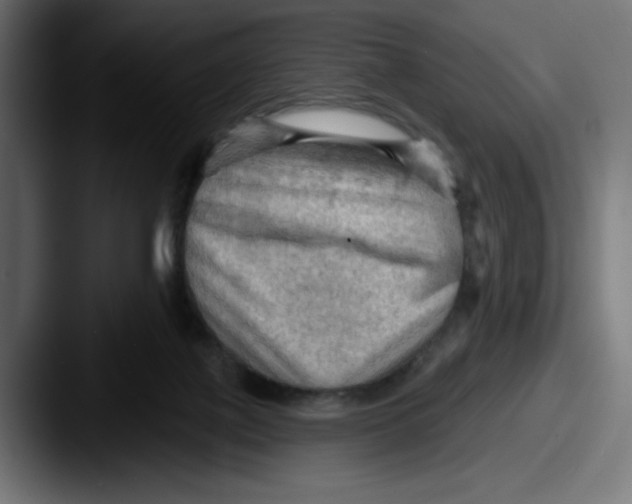 X0000087590075200705181227