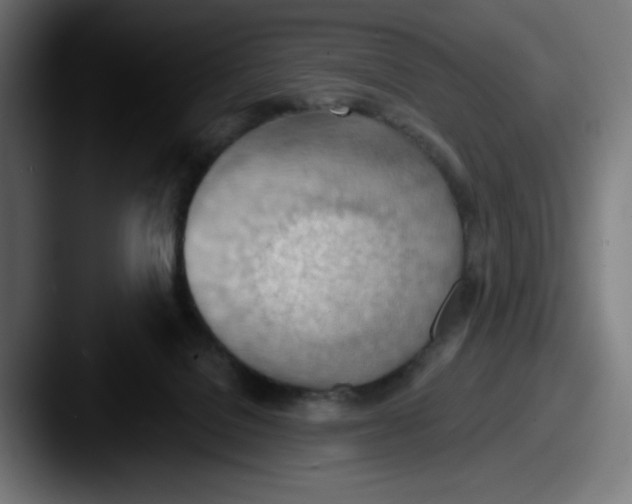 X0000087590076200705181227