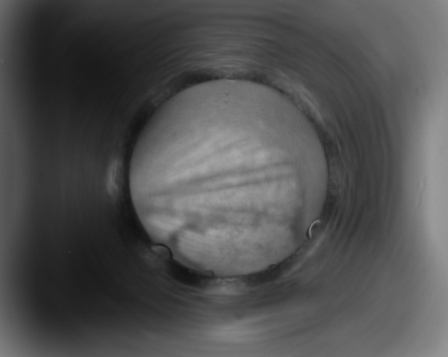 X0000087590077200705181227