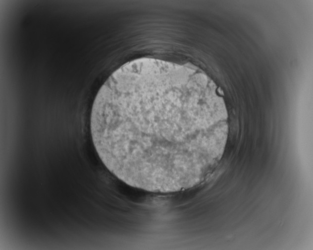 X0000087590078200705181227