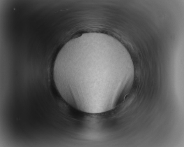 X0000087590079200705181227