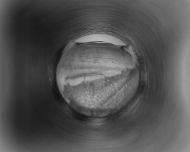 X0000087590081200705181227