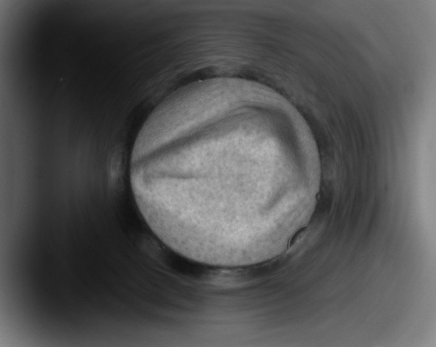 X0000087590082200705181227