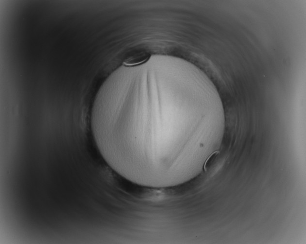 X0000087590083200705181227