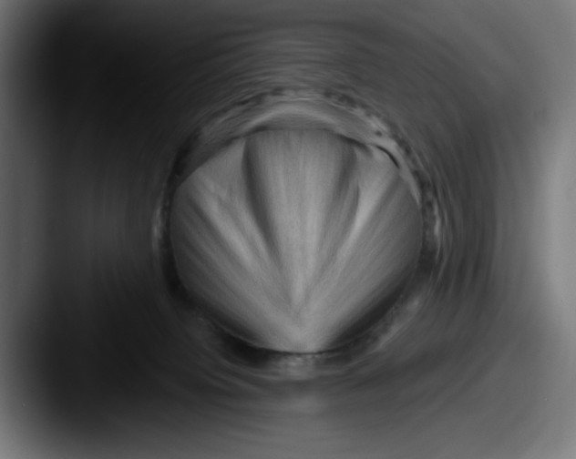 X0000087590084200705181227