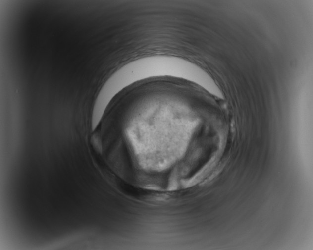 X0000087590086200705181227