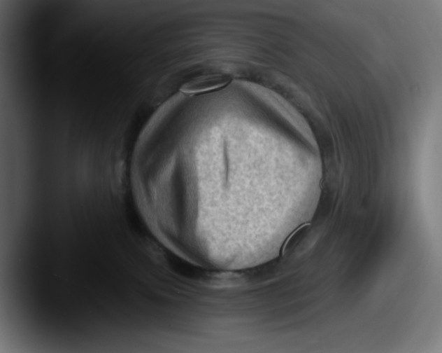 X0000087590087200705181227