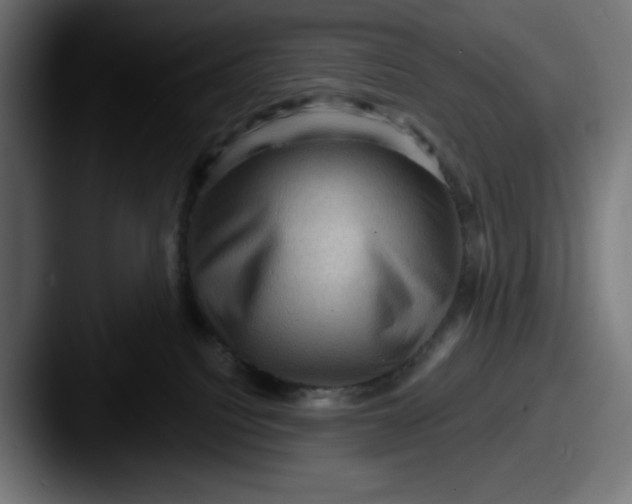 X0000087590088200705181227