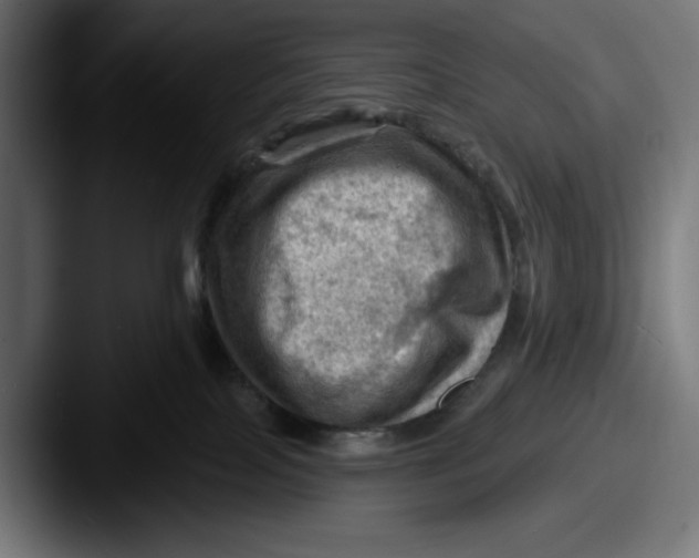 X0000087590089200705181227