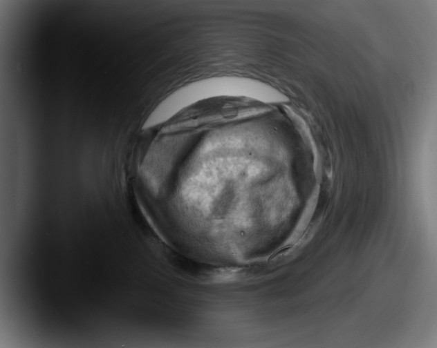 X0000087590090200705181227