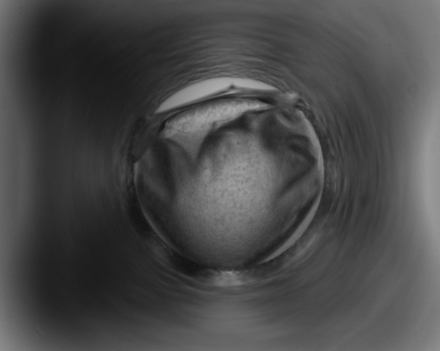 X0000087590091200705181227