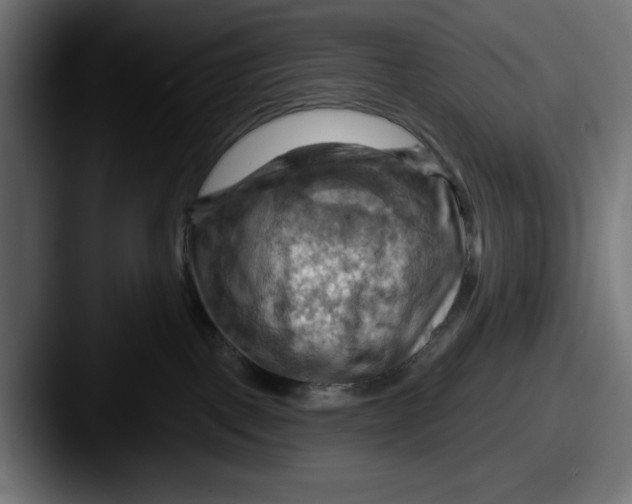 X0000087590093200705181227