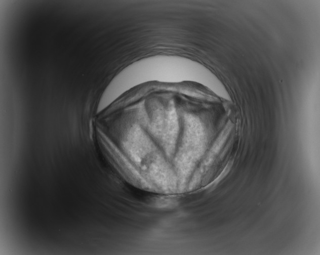 X0000087590094200705181227