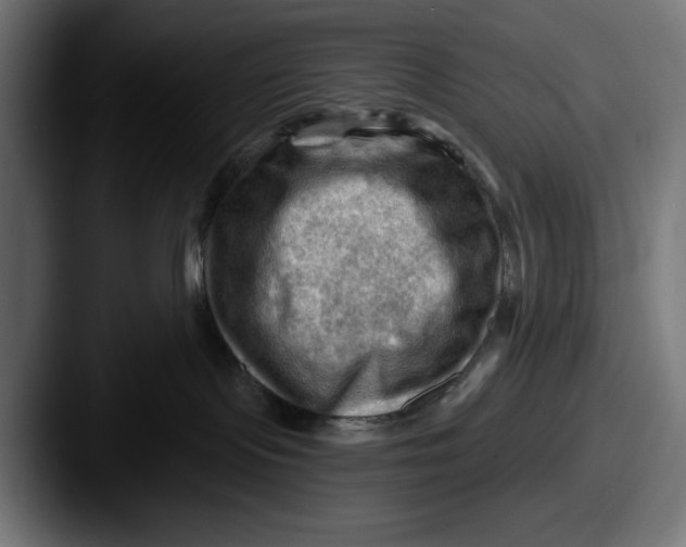 X0000087590095200705181227